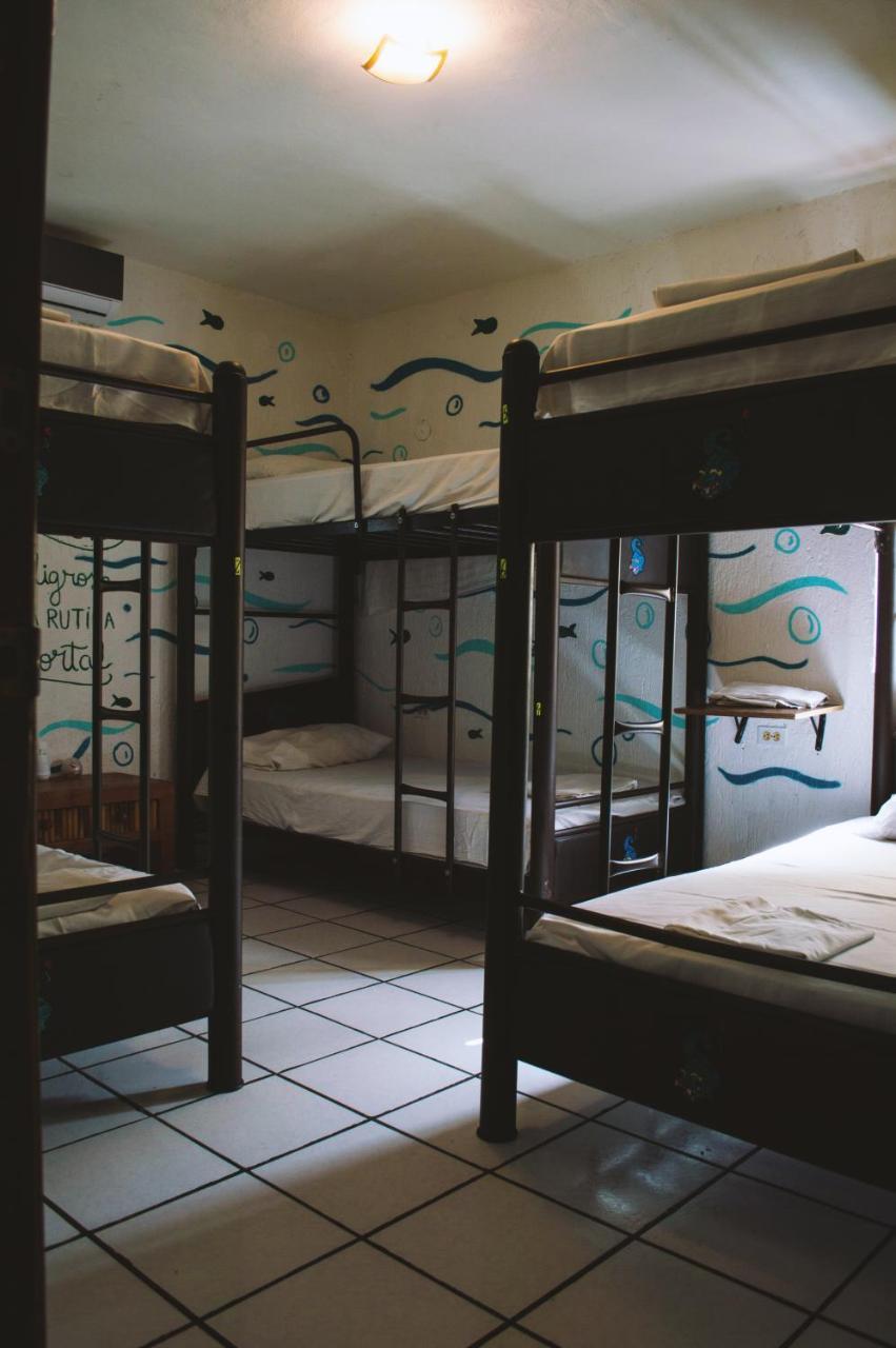 קנקון Kukulcan Hostel & Friends מראה חיצוני תמונה